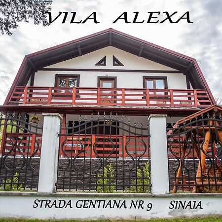 Casa Alexa Vila Sinaia Exterior foto